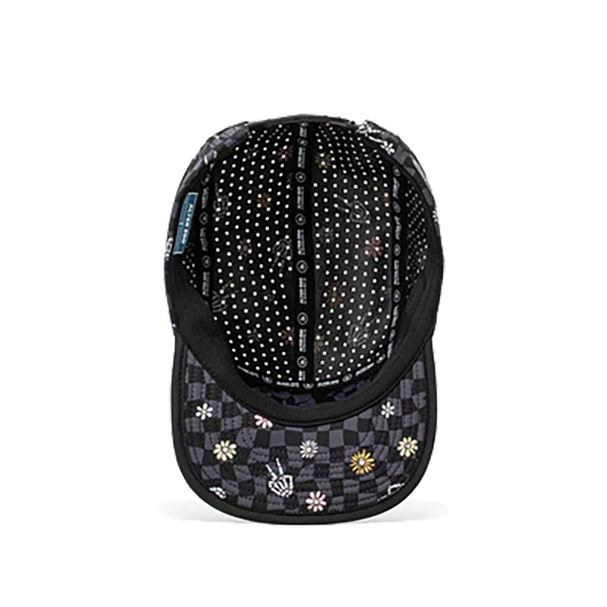 Alter Ego Cruiser Splash