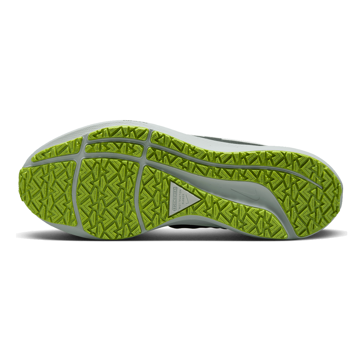 Nike Air Zoom Pegasus 39 Shield