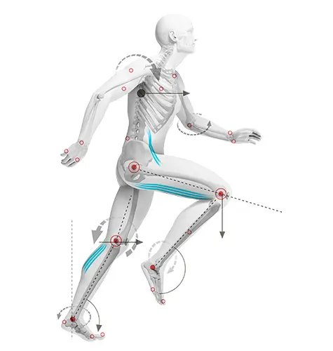 BODY AWARENESS | ANATOMY
