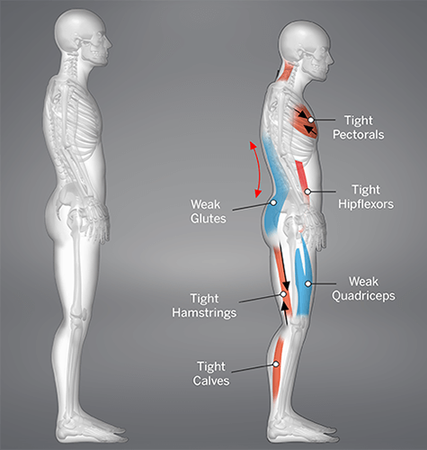 BODY AWARENESS | MOVEMENT
