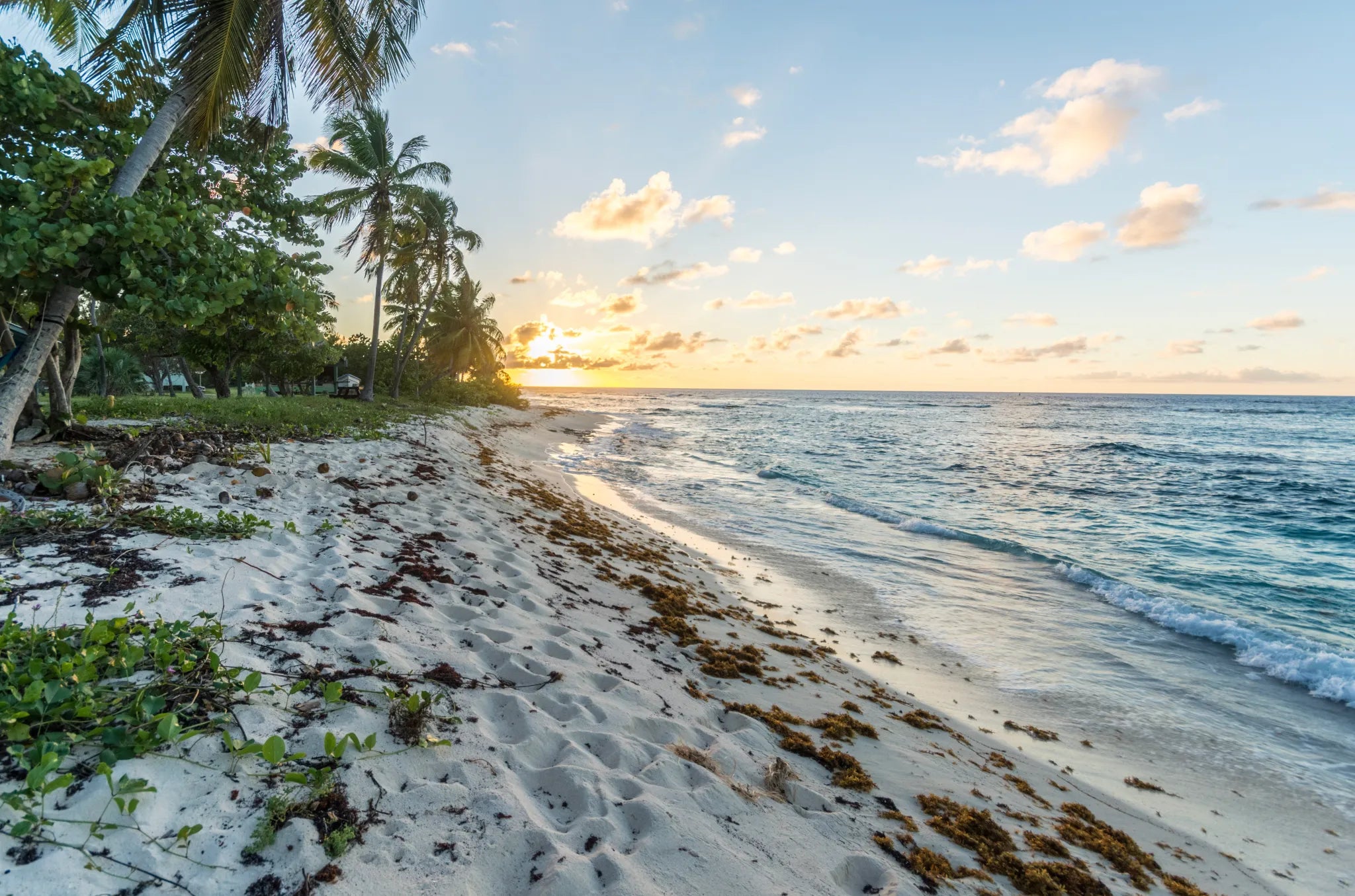 THE ULTIMATE GUIDE TO BEACH RUNNING