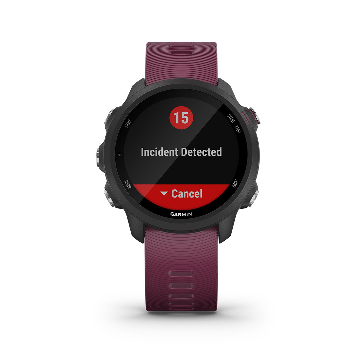 Garmin Forerunner 245