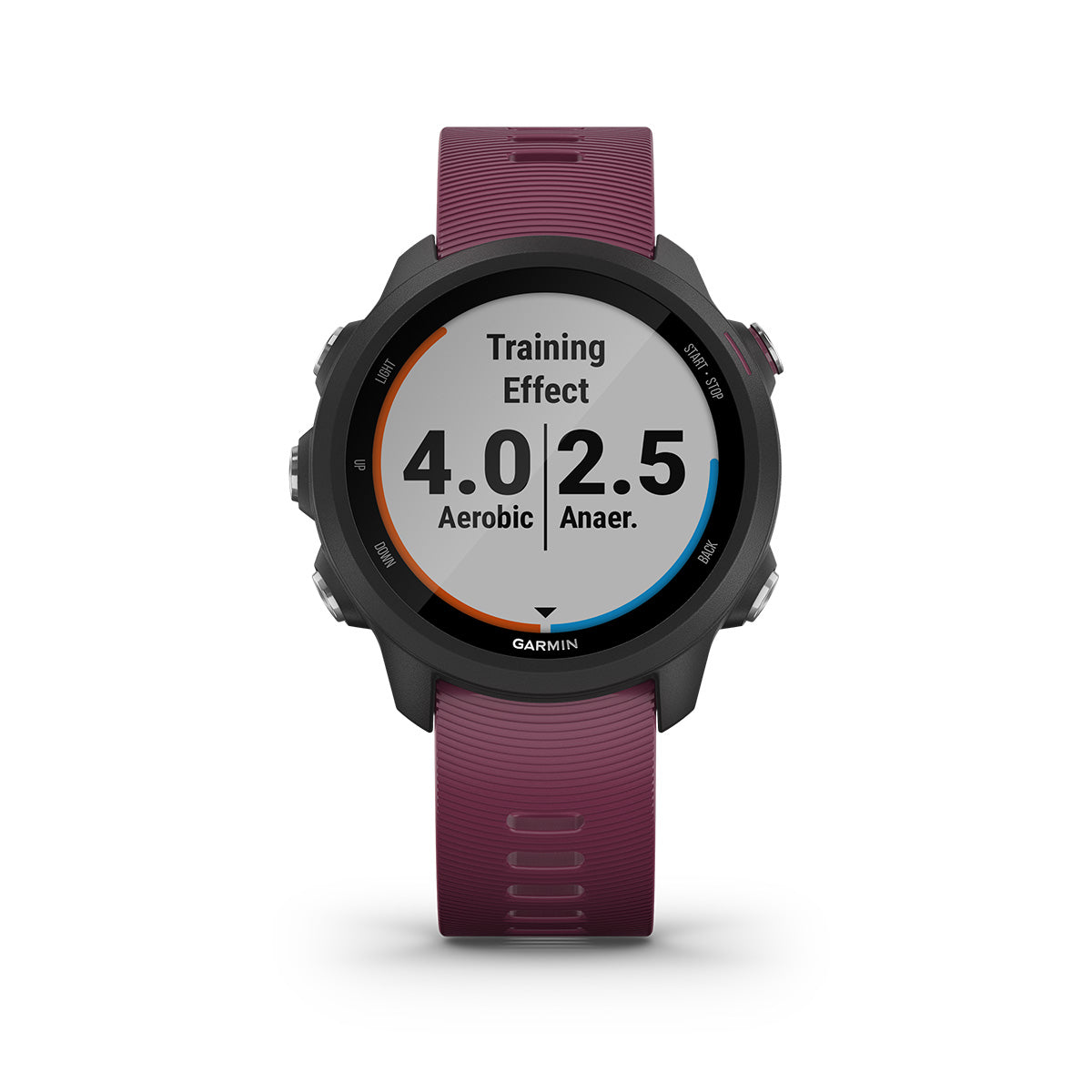 Garmin Forerunner 245