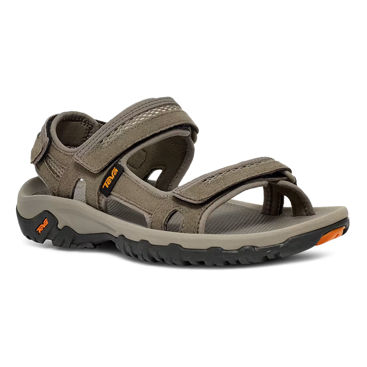 Teva Hudson