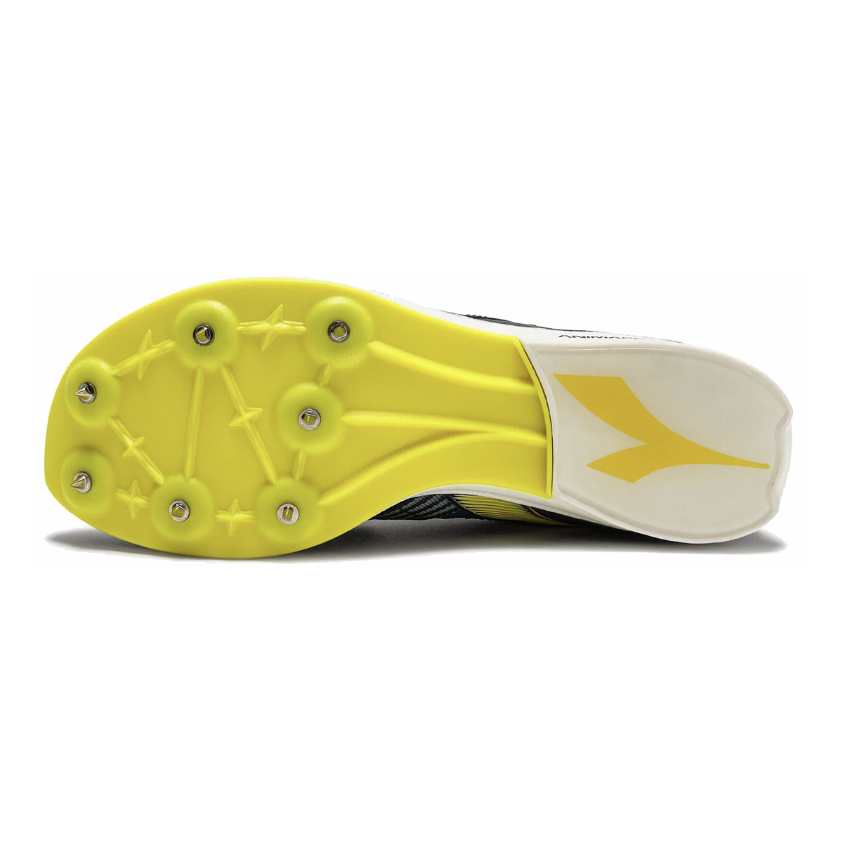 Diadora Lungo Carbon