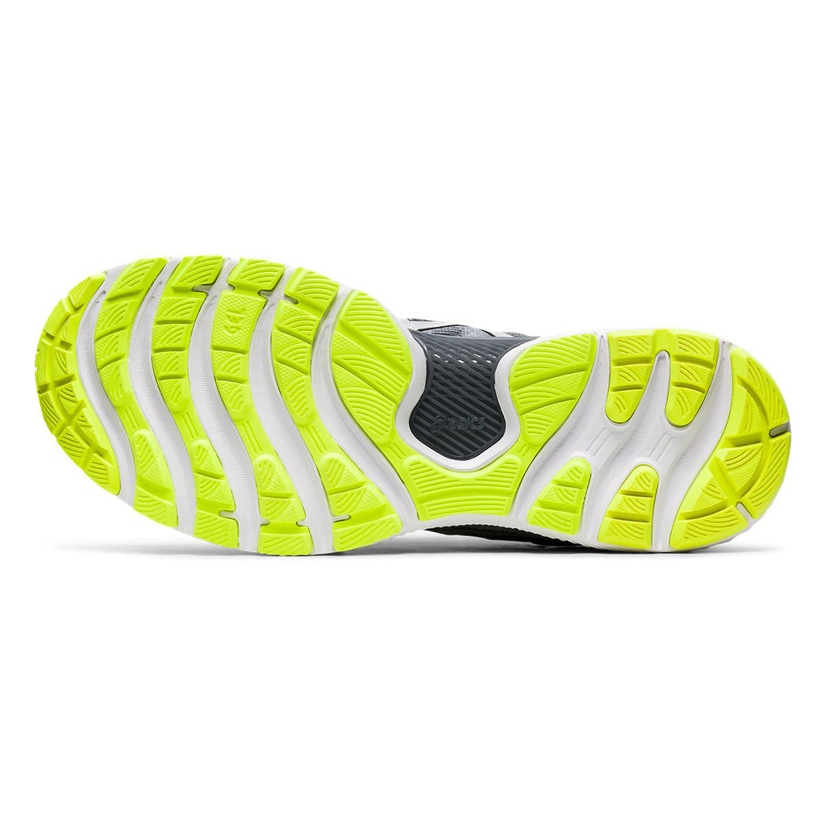 Asics Nimbus 22 Lite Show