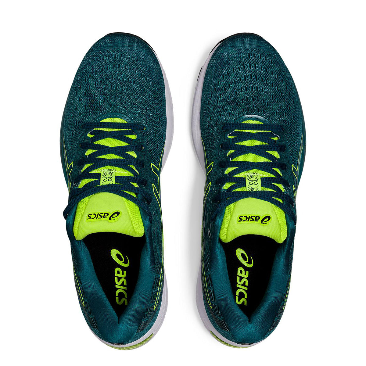 Asics Cumulus 22 - Misty Pine - Velvet Pine