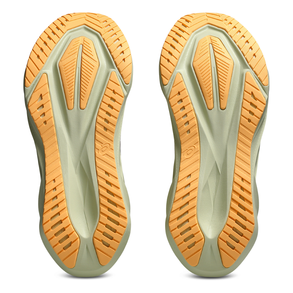 Asics Novablast 5 - White- Fawn