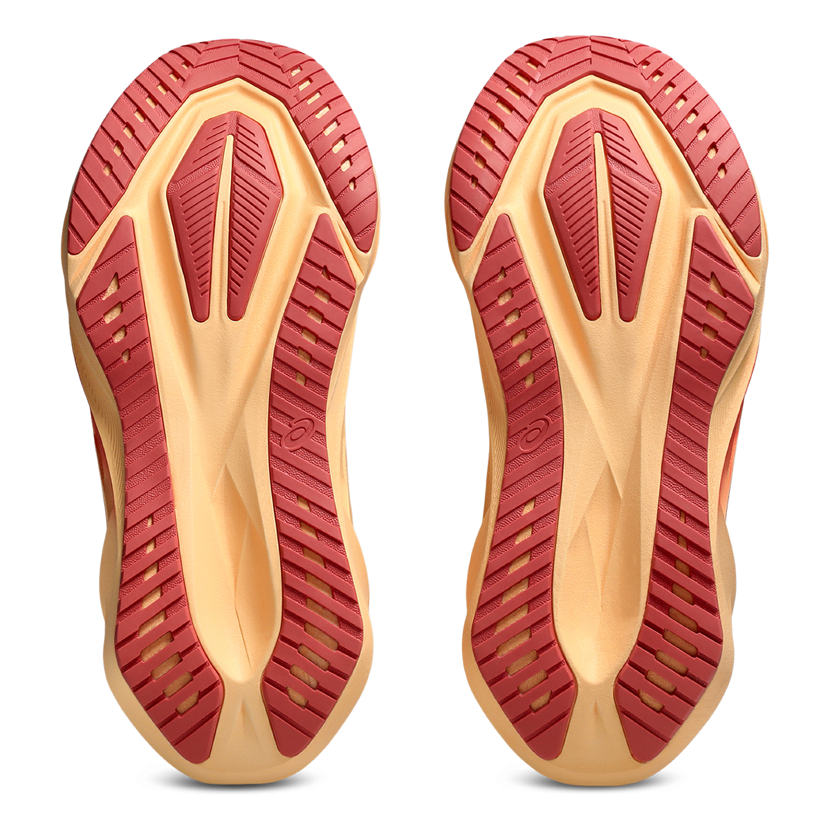 Asics Novablast 5 Heather Black   Purple womens