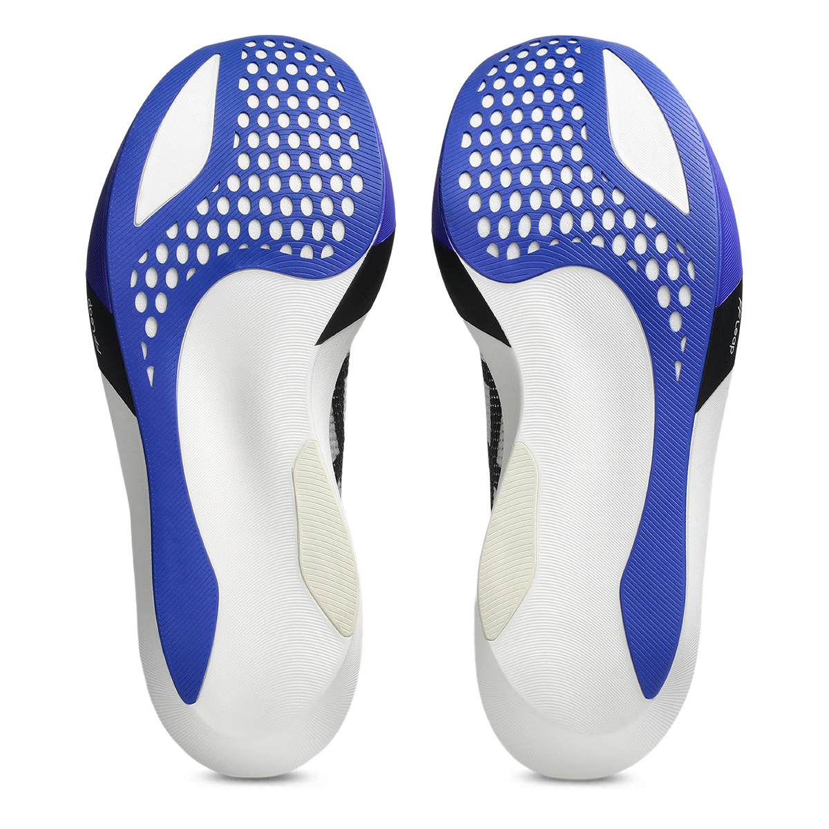 Asics Metaspeed Sky Tokyo