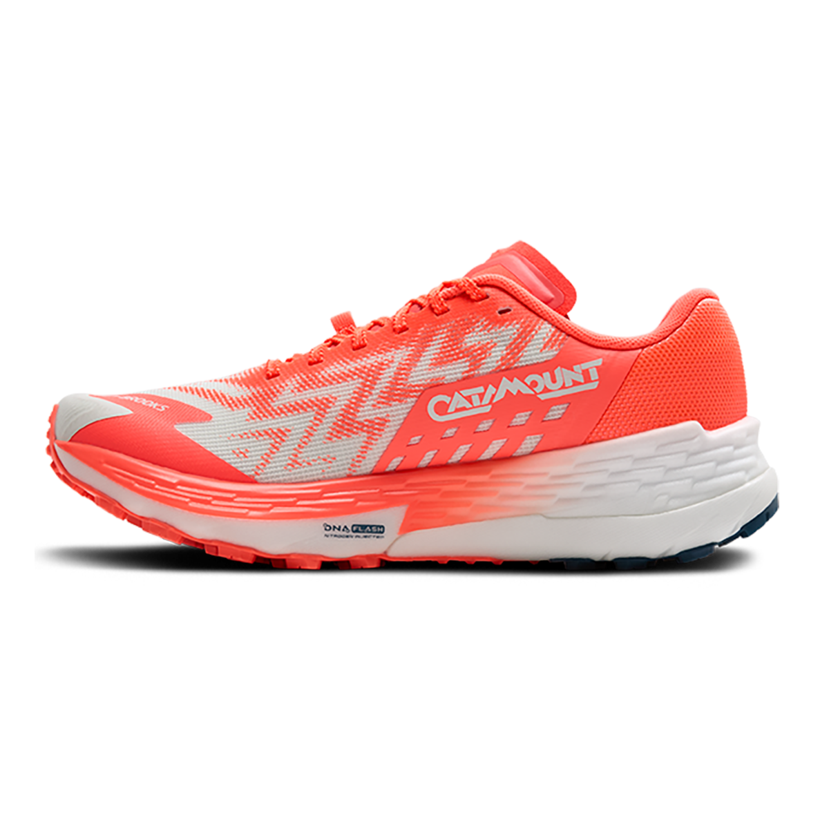 Brooks Catamount 4