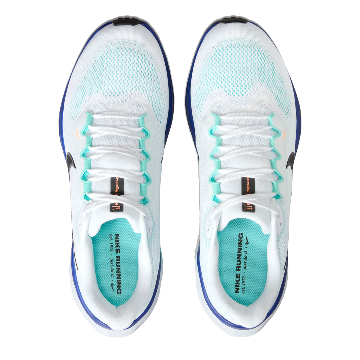 Nike Air Zoom Pegasus 41