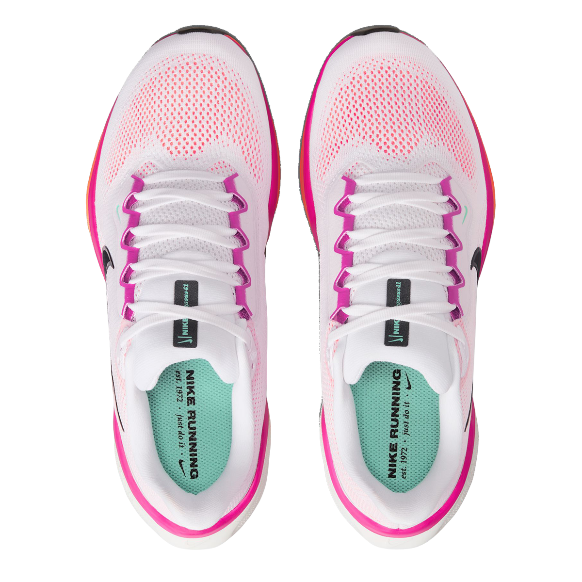 Nike Air Zoom Pegasus 41