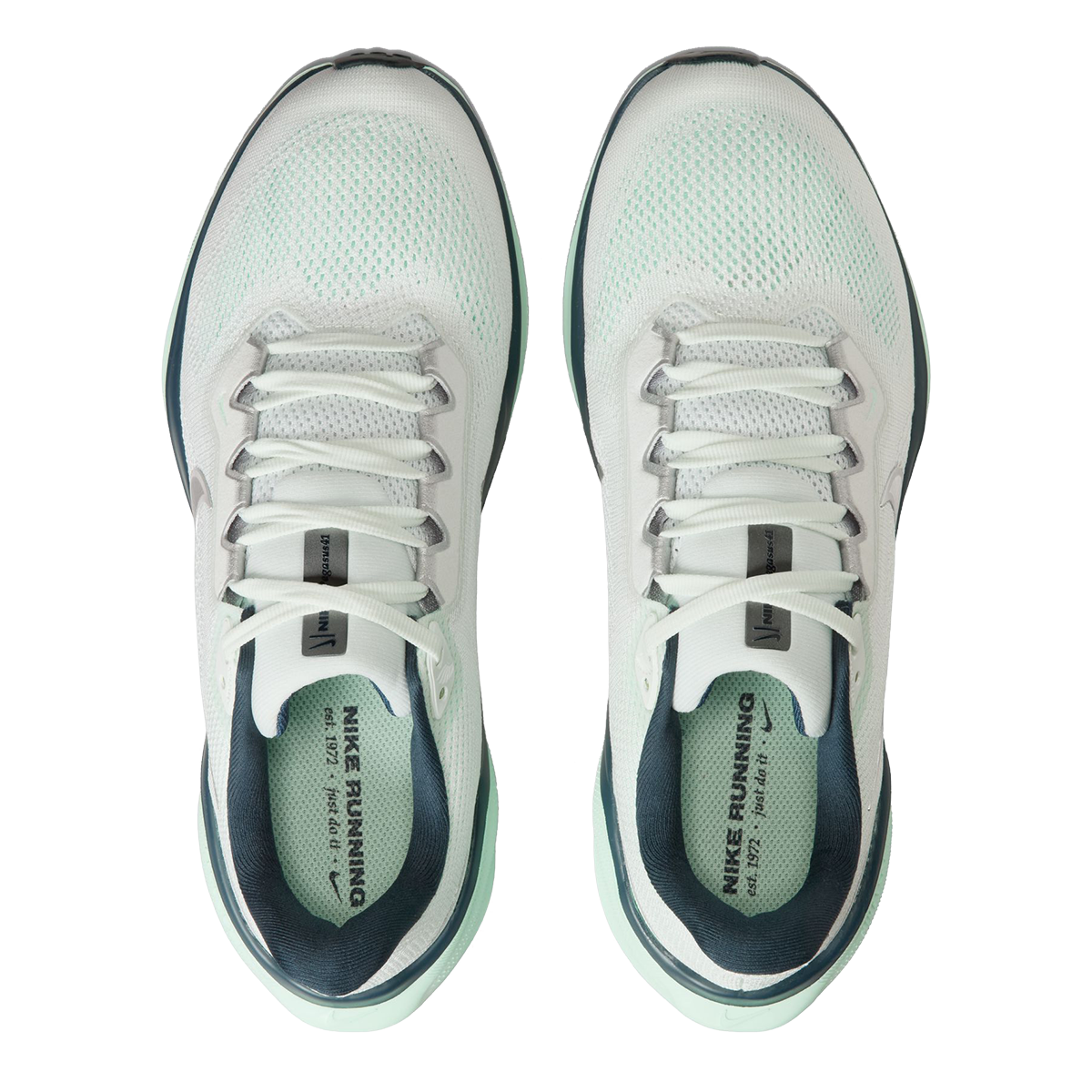 Nike Air Zoom Pegasus 41