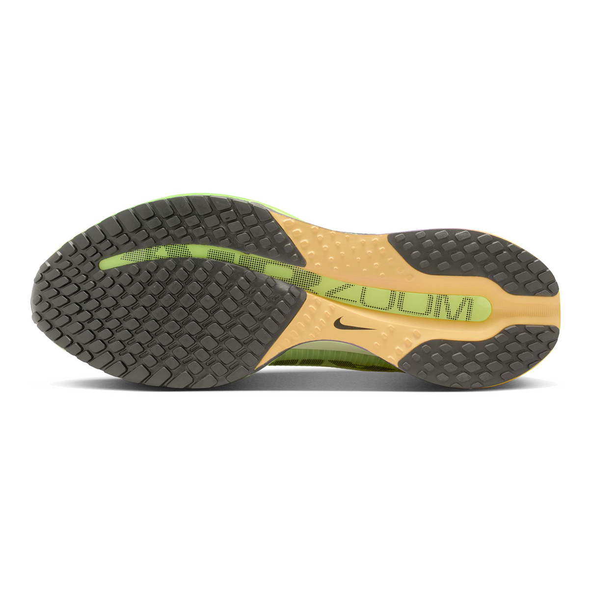 Nike Pegasus Premium