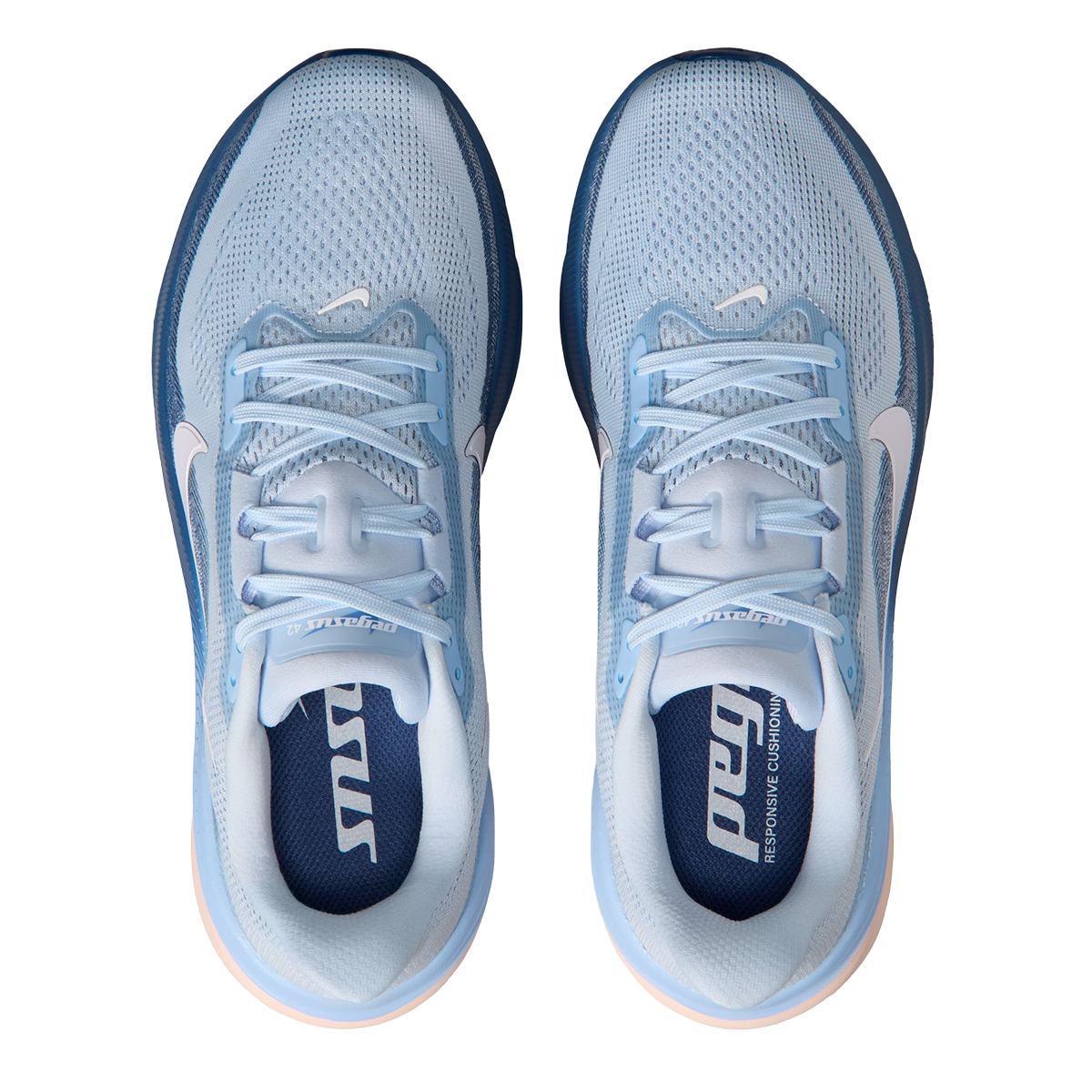 Nike Pegasus 42