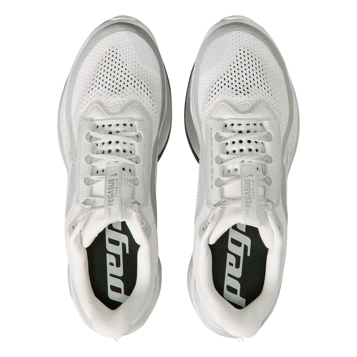 Nike Pegasus Premium RR