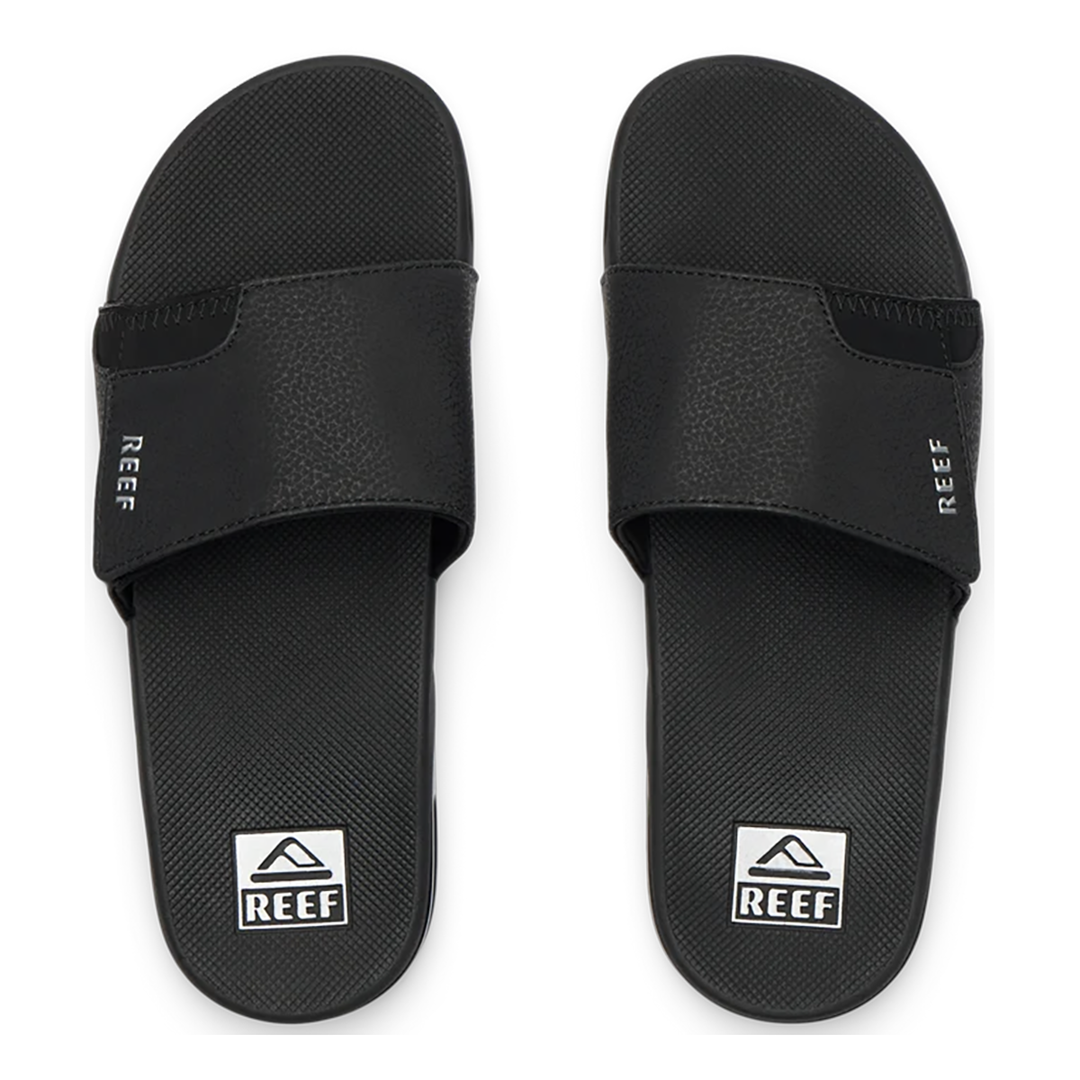 Reef Fanning Slide