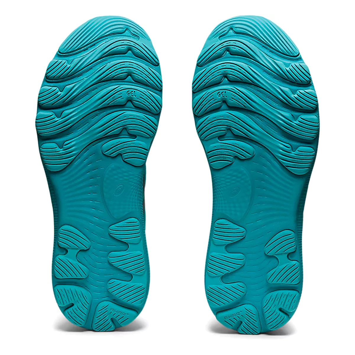 Asics Nimbus 24 Lite Show